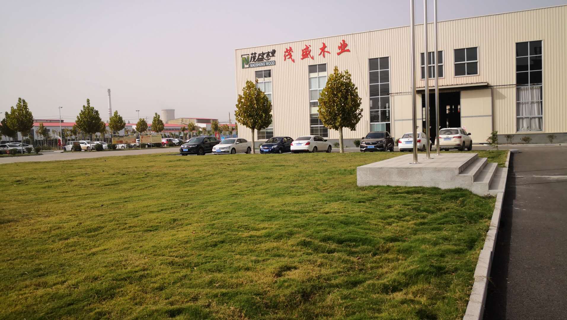 ɽ��ʡɭ�ֲɷ����¼������,ɽ������ïʢľҵ���޹�˾